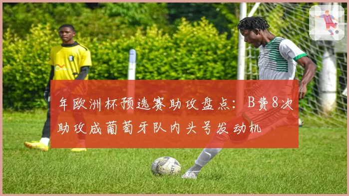 年欧洲杯预选赛助攻盘点：B费8次助攻成葡萄牙队内头号发动机