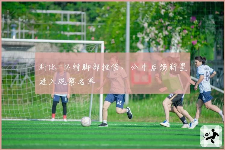 科比-怀特脚部挫伤，公牛后场新星进入观察名单