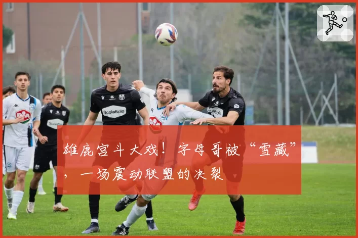 雄鹿宫斗大戏！字母哥被“雪藏”，一场震动联盟的决裂